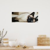 Siamese Cat Poster (Keuken)