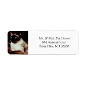 Siamese Cat Return Address Stickers Labels (Voorkant)