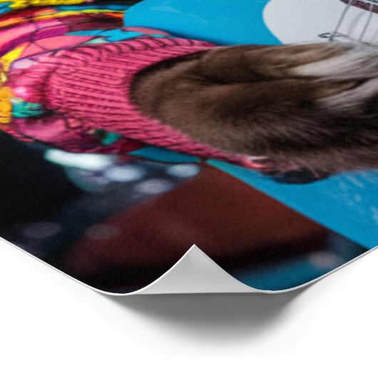 Siamese Cat Rocker Poster (Hoek)