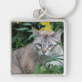 Siamese Cat Sleutelhanger (Voorkant)