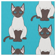 Siamese Cat