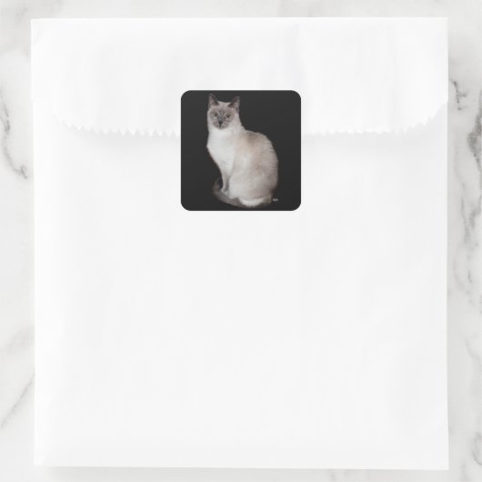 Siamese Cat Vierkante Sticker (Tas)