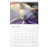 Siamese Cats Calendar Kalender (Jan 2027)