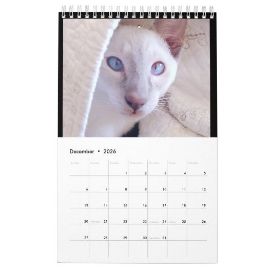 Siamese Cats Calendar Kalender (Dec 2026)