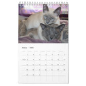 Siamese Cats Calendar Kalender (Mar 2026)