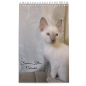 Siamese Cats Calendar Kalender (Hoes)