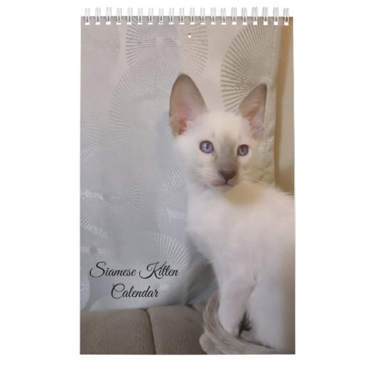 Siamese Cats Calendar Kalender (Hoes)