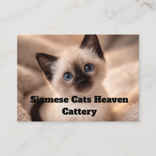 Siamese Cats Heaven Fokkerij Aanpasbare Zakelijke Visitekaartje
