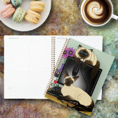 Siamese computer katten onheil planner