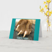 Siamese Cougar Greeting Cards Kaart (Gele Bloem)
