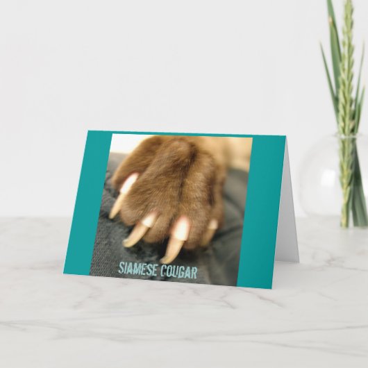 Siamese Cougar Greeting Cards Kaart (Voorkant)