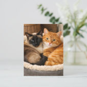 Siamese en oranje katjes  briefkaart (Staand voorkant)