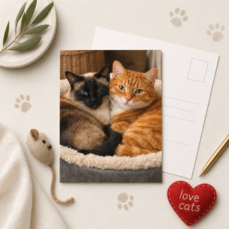 Siamese en oranje katjes briefkaart