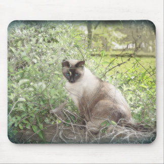 Siamese en wijnstokken muismat