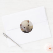 Siamese Fancy rat Stickers (Envelop)