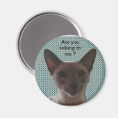 Siamese Gekke kat Magneet (Voorkant / Achterkant)