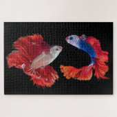 Siamese gevechtsvis legpuzzel (Horizontaal)