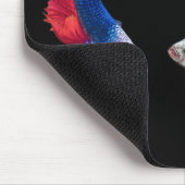 Siamese gevechtsvis muismat (Hoek)