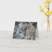 Siamese het Punt van Linx Kaart (Gele Bloem)