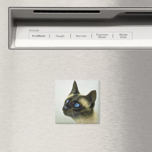 Siamese (hoofdstudie) magneet (Insitu (Vaatwasser))