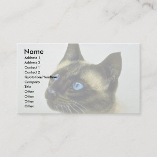 Siamese (hoofdstudie) visitekaartje