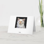 Siamese Humor van de Verjaardag van het Katje Kaart (Achterkant)