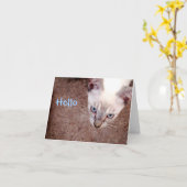 Siamese kaart "hallo " van de katjesnota (Gele Bloem)