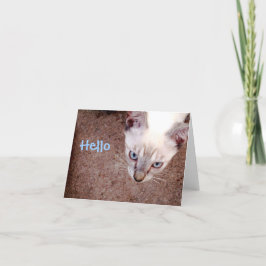Siamese kaart "hallo " van de katjesnota
