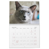 Siamese kalender opgroeien (Jan 2027)