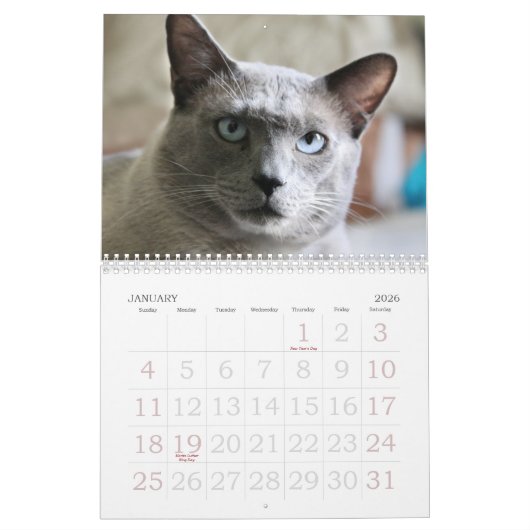 Siamese kalender opgroeien (Jan 2026)