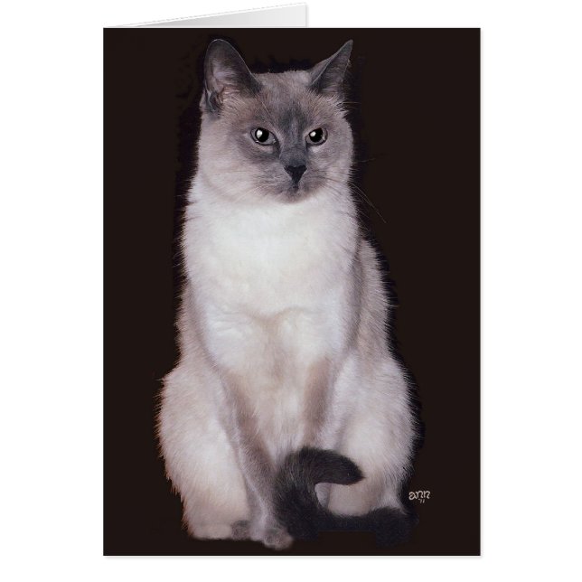 Siamese Kat (Voorkant)