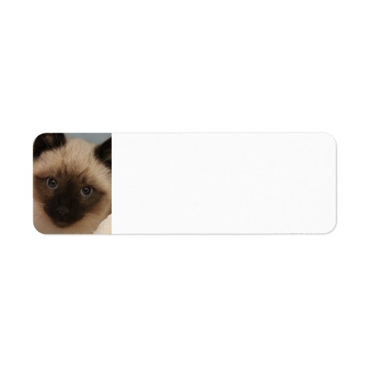 Siamese kat adresetiketten etiket (Voorkant)