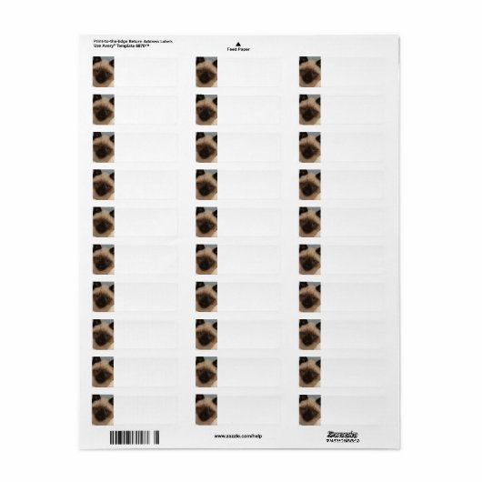 Siamese kat adresetiketten etiket (Full Sheet)