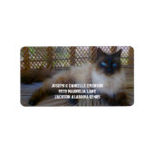 Siamese Kat Adresetiketten Etiket (Voorkant)