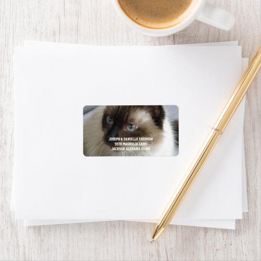 Siamese Kat Adresetiketten Etiket (Insitu)