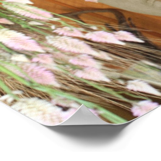  Siamese kat Animal Poster (Hoek)