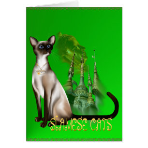 Siamese Kat Card