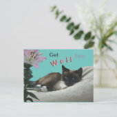 Siamese Kat Close-up Beterschap Ansichtkaart Briefkaart (Staand voorkant)