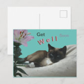Siamese Kat Close-up Beterschap Ansichtkaart Briefkaart (Voorkant / Achterkant)