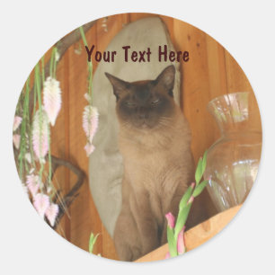 Siamese Kat die de Dierlijke Sticker van de