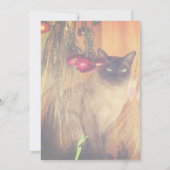 Siamese Kat Dierentuin Feest Kaart (Achterkant)