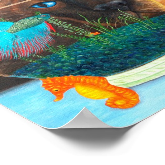 Siamese kat en Betta Fish Poster (Hoek)