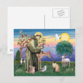 Siamese Kat en Sint Franciscus Briefkaart (Voorkant / Achterkant)