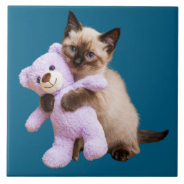 Siamese kat en teddybeer decoratieve Tegel Tegeltje