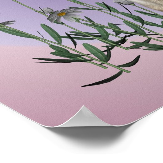 Siamese kat en vlinder op maat poster (Hoek)