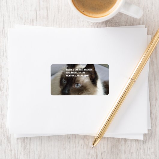 Siamese Kat Etiket (Insitu)