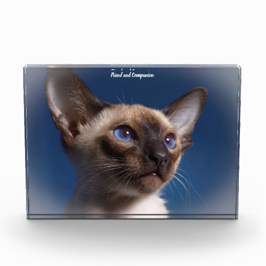 Siamese Kat Fotoblokken (Voorkant)