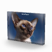 Siamese Kat Fotoblokken (Rechts)