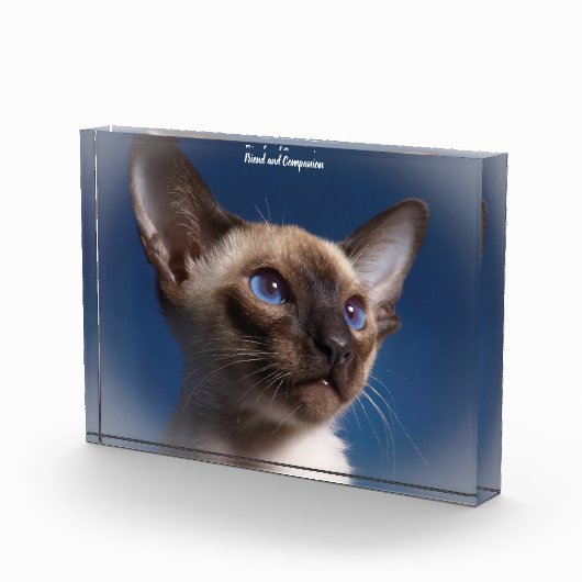 Siamese Kat Fotoblokken (Rechts)