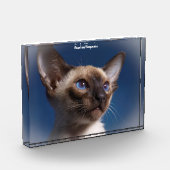 Siamese Kat Fotoblokken (Links)